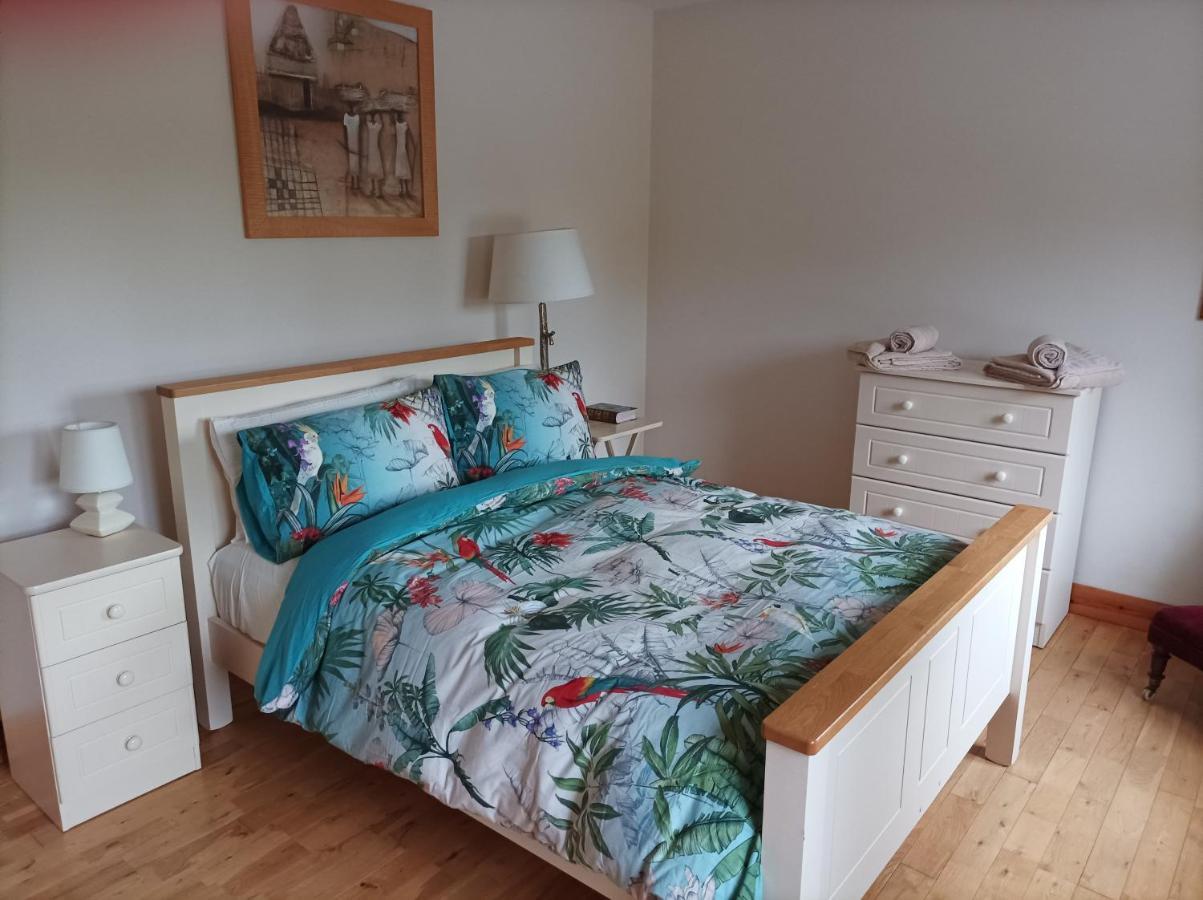 Country Lane Homestay Westport Esterno foto